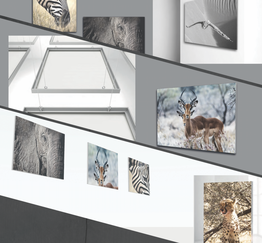 paredes gráficas -web