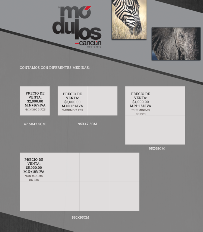 Flyer Paredes Graficas-vuelta