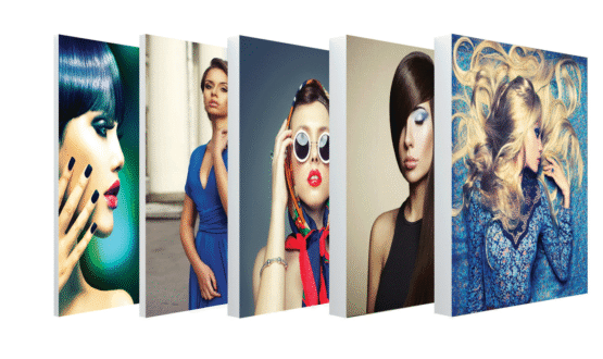 Silicone-Edge-Tension-Fabric-Framing-Systems SEG-Silicone-Edge-Tension-Fabric